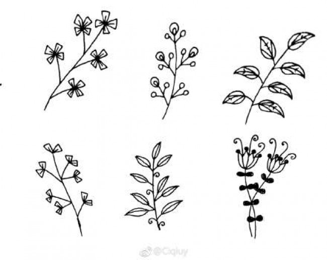 简单植物简笔画黑白线稿素材图片