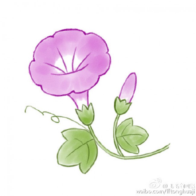 牵牛花怎么画牵牛花的画法喇叭花简笔画教程牵牛花卡通画绘画教程 图片 16p 才艺君