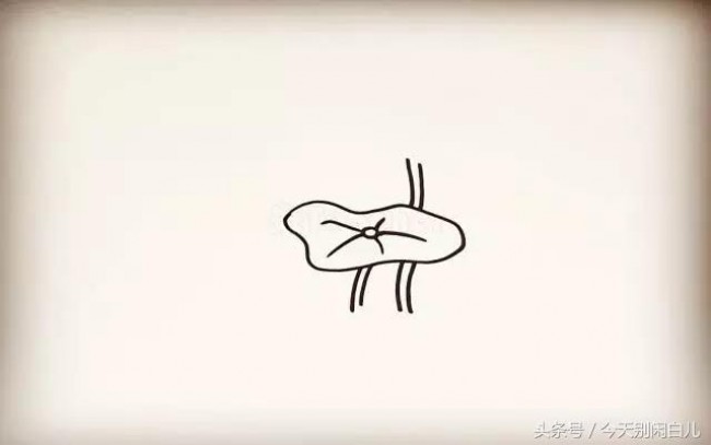 荷花怎么画？简单的荷花简笔画画法 莲花的画法卡通画手绘教程_www.youyix.com