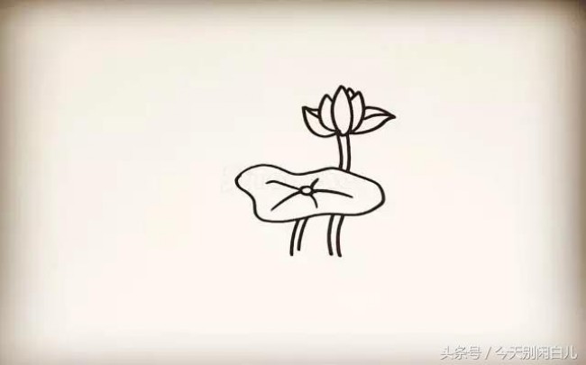 荷花怎么画？简单的荷花简笔画画法 莲花的画法卡通画手绘教程_www.youyix.com