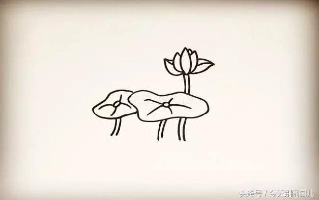 荷花怎么画？简单的荷花简笔画画法 莲花的画法卡通画手绘教程_www.youyix.com