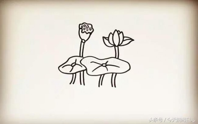 荷花怎么画？简单的荷花简笔画画法 莲花的画法卡通画手绘教程_www.youyix.com