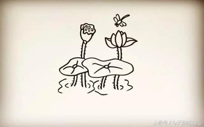 荷花怎么画？简单的荷花简笔画画法 莲花的画法卡通画手绘教程_www.youyix.com