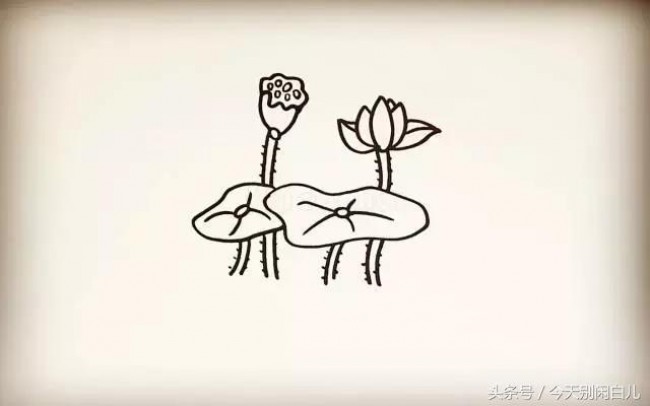 荷花怎么画？简单的荷花简笔画画法 莲花的画法卡通画手绘教程_www.youyix.com