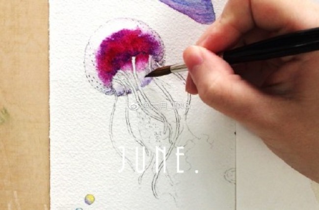 唯美的多彩水母水彩画手绘教程图片 水母水彩怎么画 水母的水彩画画法_www.youyix.com