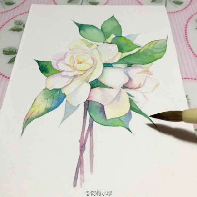 栀子花水彩画手绘教程图片栀子花水彩画的画法栀子花水彩怎么画 图片 9p 才艺君