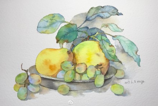 果盘里的梨子和葡萄水果静物水彩手绘教程图片李子和葡萄的水彩画画法 图片 6p 才艺君