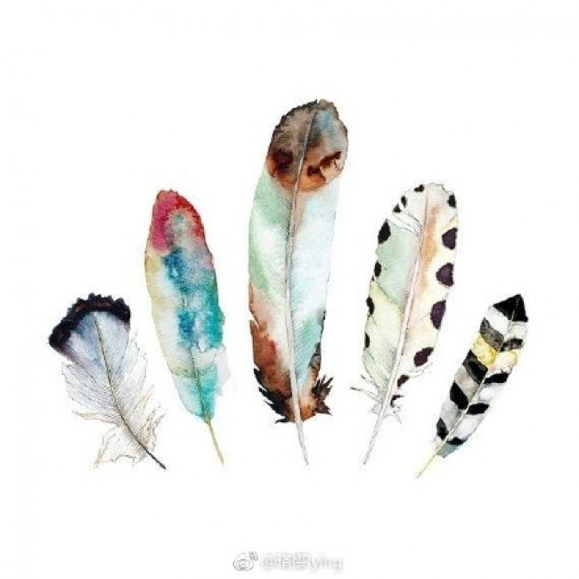 各种精美的羽毛水彩画图片素材 羽毛怎么画素材 羽毛的水彩画法参考_www.youyix.com
