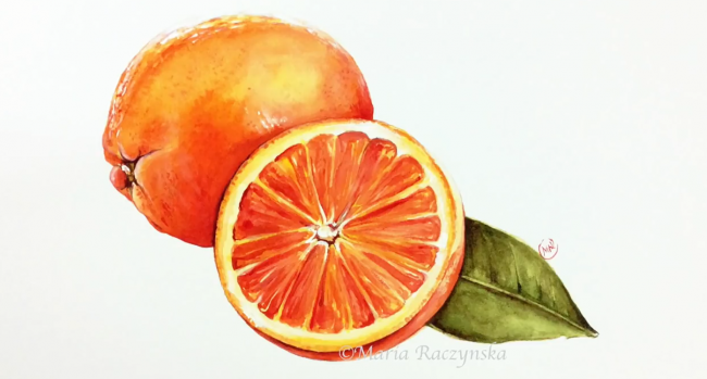 唯美多汁的水果橙子水彩手绘视频教程夏季清新水彩绘 图片 13p 才艺君