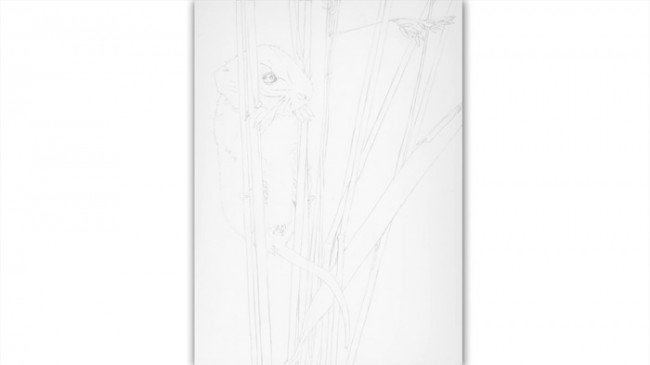 【视频】可爱的小老鼠水彩画手绘视频教程 较为写实的画法_www.youyix.com