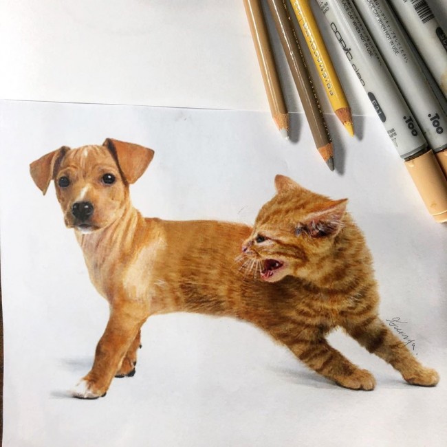 创意彩铅画 这些彩铅手绘写实又有趣_www.youyix.com