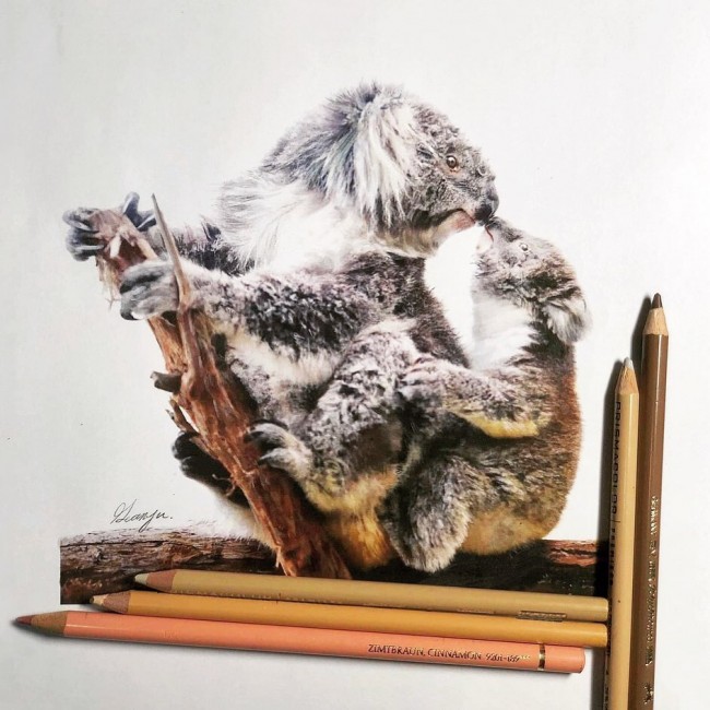 创意彩铅画 这些彩铅手绘写实又有趣_www.youyix.com