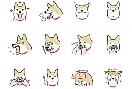 28个狗狗头像动作卡通简笔画展示素材