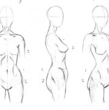 女性人体结构展示图 分解图 动漫插画女性人体
