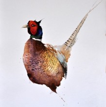 老外用水彩表现中国传统书画水墨画味道鸟类绘画作品