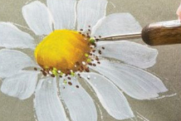 唯美菊花的手绘画的画法  雏菊的色彩绘画教程