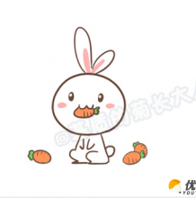 一只咬着胡萝卜的小兔子怎么画？可爱的小兔子的简笔画  小兔子的手绘画教程