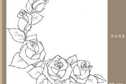 简单漂亮的花朵怎么画？花朵的简笔画  花朵的手绘画教程