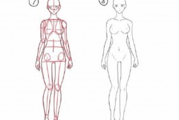 从起笔演示女性人体绘画步骤 女性人体身体比例结构图 包含头部特写
