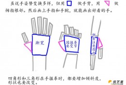 手把手教你画好手掌手部的插画漫画教程 超详细多角度讲解手部结构和画法