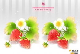 怎么画清晰粉嫩的草莓？ PS 带线稿与彩色的草莓绘画大全教程素材