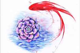 教你绘画一条细致的红金鱼教程 带紫珍珠的红金鱼绘画素材