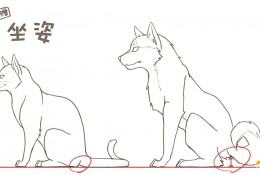 具体的猫咪和狗从五官到姿势详细教程 猫和狗的各种姿势动作区别画法