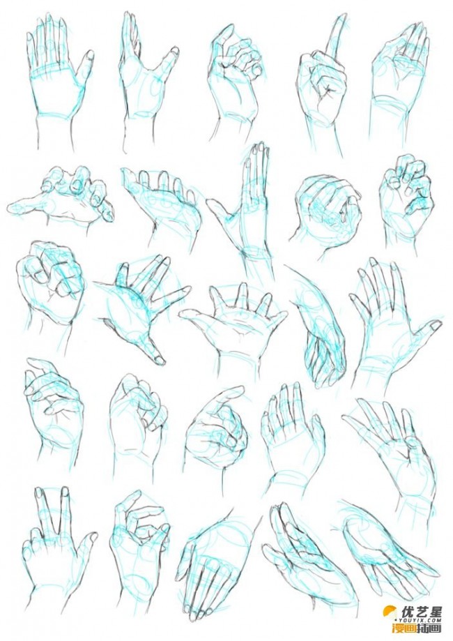 在不同角度看手部素材教程 人物的各种手部姿势绘画漫画素材教程