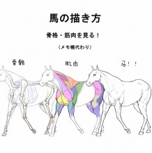 马的简单画法  用线条绘画马的简单绘画教程  绘画马的漫画素材教程