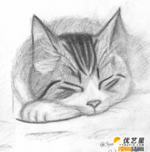 猫的头部绘画教程  画猫的头部五官步骤教程  猫的头部漫画绘画素材教程
