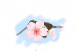 粉色的好看的樱花怎么绘画 清晰的樱花分解步骤PS插画教程