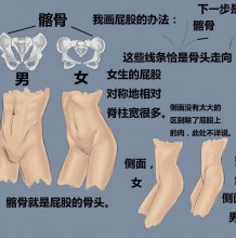 臀部怎么画 女性腹部腰部肌肉的画法特点结构 女性臀部的绘画漫画素材步骤教