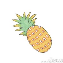 菠萝简笔画图片 菠萝怎么画简笔画 水果菠萝怎么画简笔画 菠萝画法