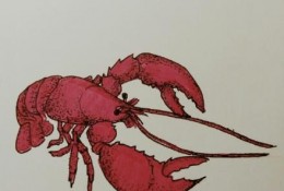 龙虾怎么画 简单的龙虾简笔画画法 小龙虾卡通画画法
