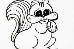 可爱小松鼠卡通画画法 小松鼠简笔画 松鼠儿童画绘画手绘教程