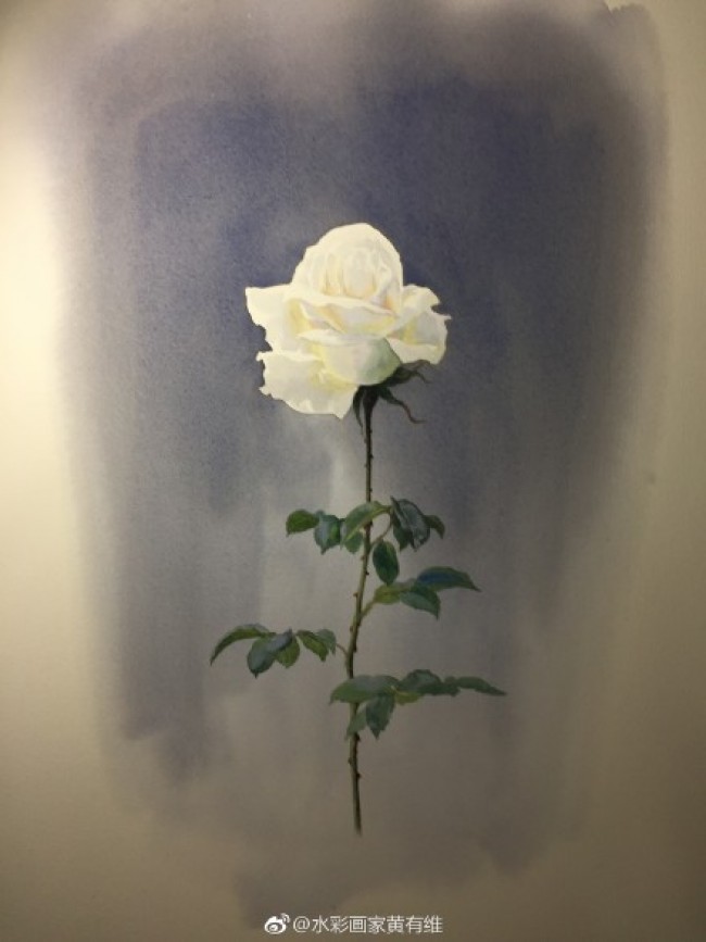 超美的一枝白玫瑰水彩画图片单枝白玫瑰花水彩手绘教程画法 图片 9p 才艺君