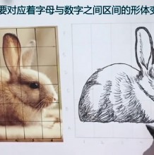 【视频】用6宫格法为你演示如何精准的临摹出要画的对象 小兔子图片