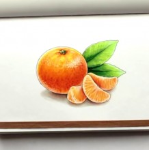 【马克笔手绘】教你用马克笔画真实的橘子手绘教程 水果怎么用马克笔上色视