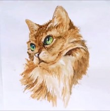 【多款水彩猫咪教程】各种姿势的猫咪水彩手绘教程 猫咪水彩的画法