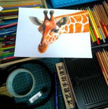 【长颈鹿的彩铅手绘教程】长颈鹿彩铅怎么画 才艺君最新彩铅课程